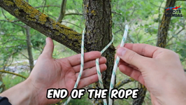 &nbsp;&nbsp;farrimond friction hitch.mp4 (18 MB)&nbsp;&nbsp;