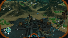 baby sea dragon hatching