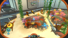   sea drgon cooked all my fish  