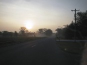   Misty Morning  