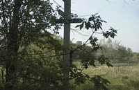   The Sign  