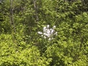 2006.05.20 11.47.59