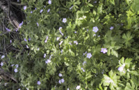 2006.05.20 11.59.27
