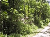 2006.05.20 12.33.19