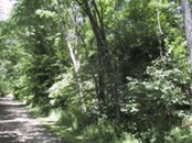 2006.05.20 12.33.28