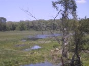 2006.05.20 12.55.54
