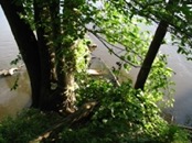 2007.06.07 18.31.24