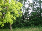 2007.06.07 19.01.16