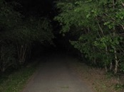 2007.06.07 20.28.48