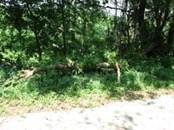  2007.07.04 12.18.19  