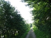   2007.07.04 17.22.18  