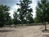 2008.08.09 14.49.22