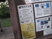   2007.06.07 19.38.08 wanted poster  