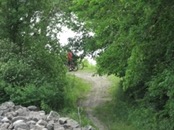   2007.06.10 12.05.48  