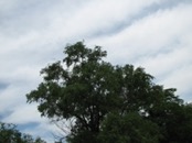   2007.06.10 12.39.49  