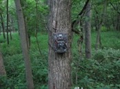   2007.07.02 20.06.38 found camera trap  
