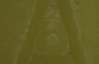 &nbsp;&nbsp;fake yellow 2&nbsp;&nbsp;