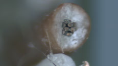 &nbsp;&nbsp;LVDS4&nbsp;&nbsp;