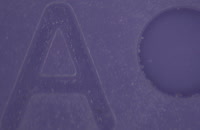 &nbsp;&nbsp;real purple 2&nbsp;&nbsp;