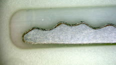 &nbsp;&nbsp;IMG00011 other side&nbsp;&nbsp;