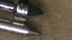 &nbsp;&nbsp;pogo-1&nbsp;&nbsp;