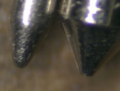 &nbsp;&nbsp;pogo-3&nbsp;&nbsp;