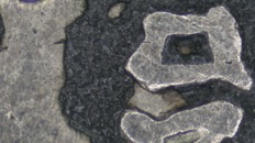 &nbsp;&nbsp;IMG00006&nbsp;&nbsp;