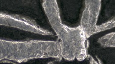 &nbsp;&nbsp;IMG00009&nbsp;&nbsp;