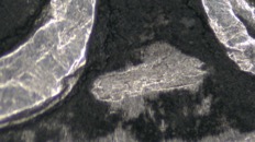 &nbsp;&nbsp;IMG00010&nbsp;&nbsp;