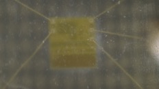 &nbsp;&nbsp;IMG00001&nbsp;&nbsp;