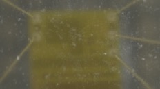 &nbsp;&nbsp;IMG00002&nbsp;&nbsp;