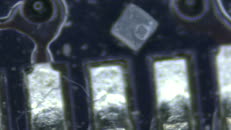 &nbsp;&nbsp;gull wing3&nbsp;&nbsp;