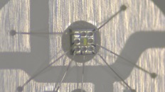 &nbsp;&nbsp;IMG00004&nbsp;&nbsp;