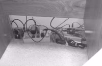 &nbsp;&nbsp;NORMAL00002&nbsp;&nbsp;