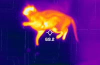 &nbsp;&nbsp;20221204T130424&nbsp;&nbsp;