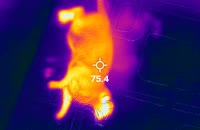 &nbsp;&nbsp;20221204T130446&nbsp;&nbsp;