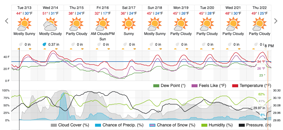 &nbsp;&nbsp;2024.02.17 cold&nbsp;&nbsp;