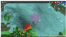 &nbsp;&nbsp;2024.03.24 Waterloo in the purple&nbsp;&nbsp;