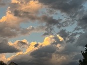   IMG_2143  
