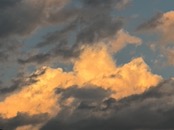   IMG_2146  