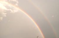   2017.06.28 20.20.53  