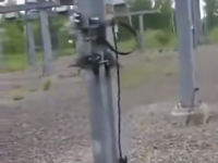 &nbsp;&nbsp;electro-birds.mp4 (509 KB)&nbsp;&nbsp;