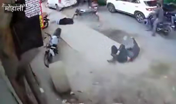 &nbsp;&nbsp;zap zap.mp4 (420 KB)&nbsp;&nbsp;