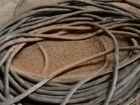 &nbsp;&nbsp;coil of attention.mp4 (1382 KB)&nbsp;&nbsp;