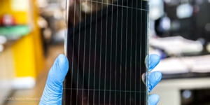 Transparent Solar Cells.mp4 (58 MB)