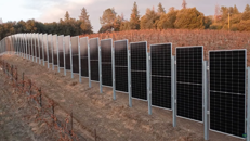   vertical solar  