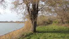   2023.11.11 fox-4-2 hidden  