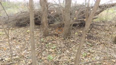   2023.11.11 fox-5-1 there  