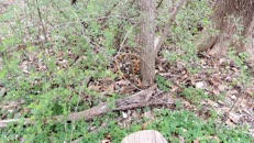   2024.04.20 fox-3-2 there  