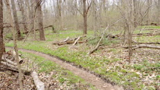3 path